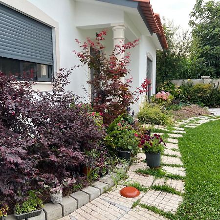 Beautiful Little Country House Villa Carvide Kültér fotó