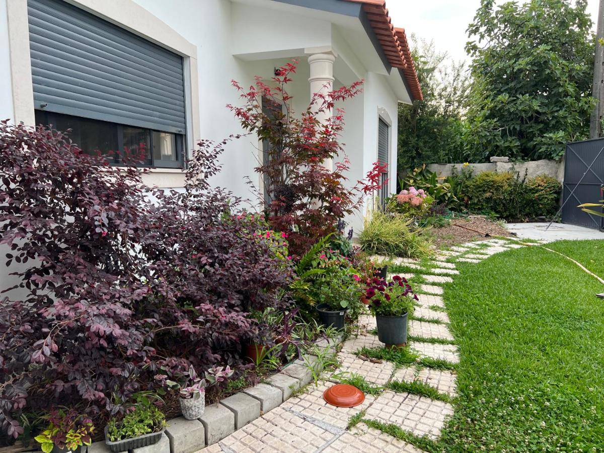 Beautiful Little Country House Villa Carvide Kültér fotó